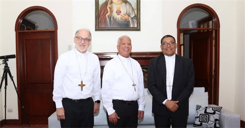 Obispos de la Región Sur analizan acciones para fortalecer el Clero local y beneficiar a la sociedad 