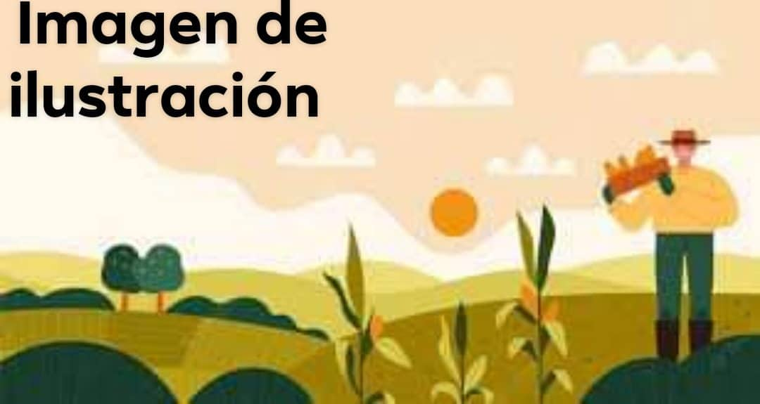 Agricultores de la zona cañera, siguen amenazados por el CAC de ser desalojados de sus predios Agrícolas.