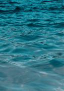 Naciones Unidas se lanza a salvar la crisis del agua, la "sangre vital del planeta"